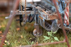 DSC_5321.jpg