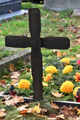 DSC_0008.jpg