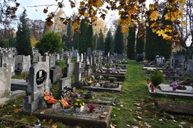 DSC_0009.jpg
