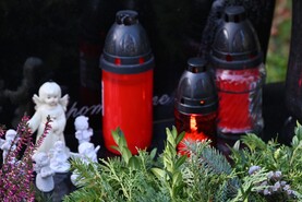 DSC_0018.jpg