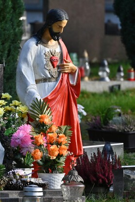 DSC_0021.jpg