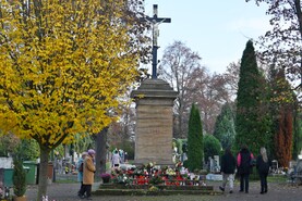 DSC_0036.jpg