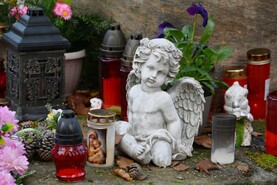 DSC_0043.jpg