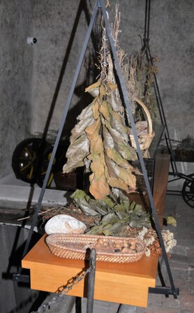 DSC_5333.jpg