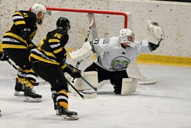 DSC_0331.jpg