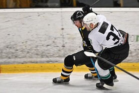 DSC_0385.jpg