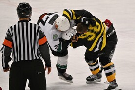DSC_0403.jpg