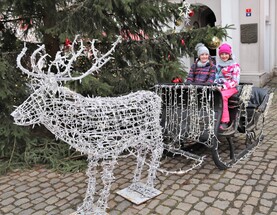 IMG_1745.jpg