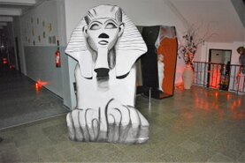 DSC_6816.jpg