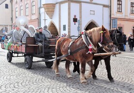 IMG_2035.jpg