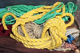 IMG_2143.jpg