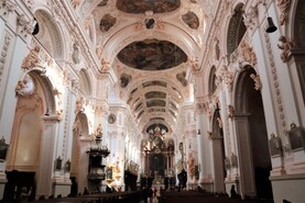 IMG_2349.jpg