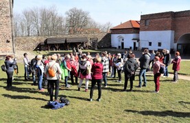 IMG_2393.jpg