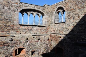IMG_2395.jpg