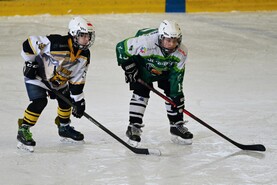 DSC_5266.jpg