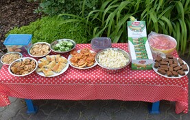 foto355.jpg