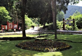 foto401.jpg