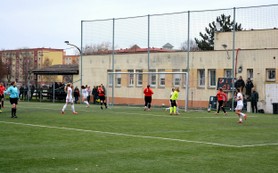 DSC_7302.JPG