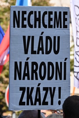 DSC_7482.JPG