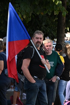 DSC_7485.JPG