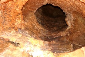 foto12.jpg