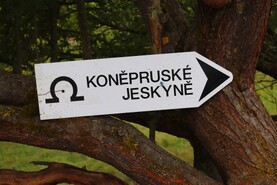 foto24.jpg