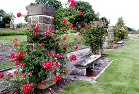 foto34.jpg