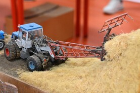 DSC_7650.jpg