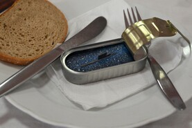 DSC_7662.jpg