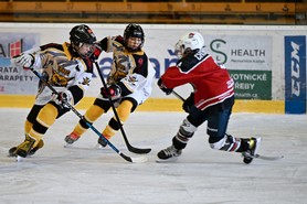 DSC_7819.JPG