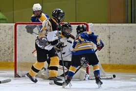 DSC_8923.JPG