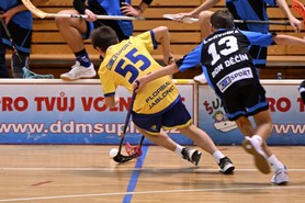 DSC_8577.JPG