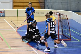 DSC_8584.JPG