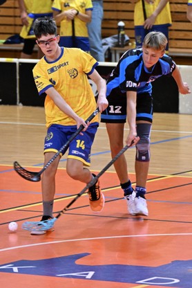 DSC_8647.JPG