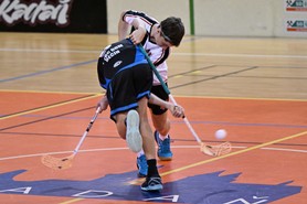 DSC_8686.JPG