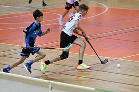 DSC_8868.JPG