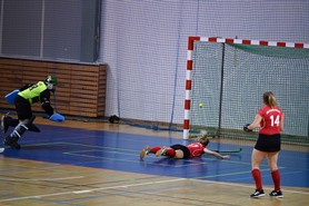 DSC_0070.JPG