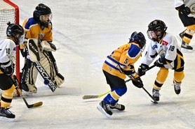 DSC_0718.JPG