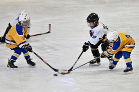 DSC_0732.JPG