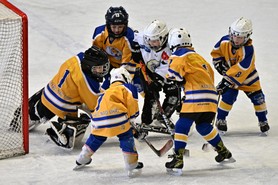 DSC_0926.JPG