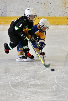 DSC_0976.JPG
