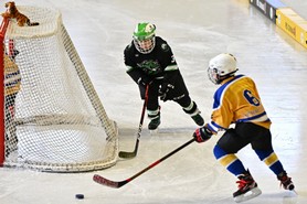 DSC_0994.JPG