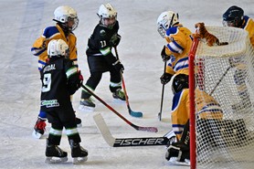 DSC_1070.JPG