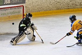DSC_1080.JPG