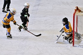 DSC_1093.JPG