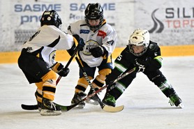 DSC_1182.JPG