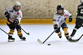 DSC_1229.JPG