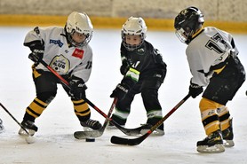 DSC_1236.JPG