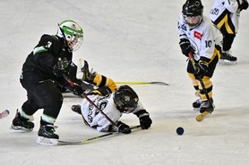DSC_1362.JPG