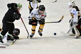 DSC_1366.JPG